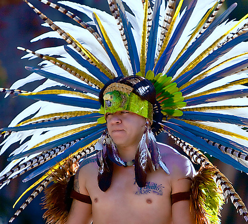 Parrot Head Dress