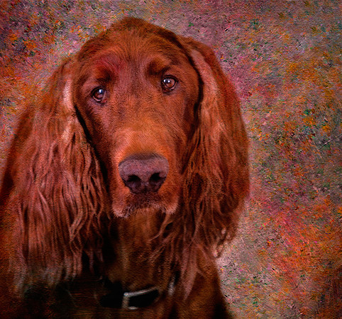 Phantom