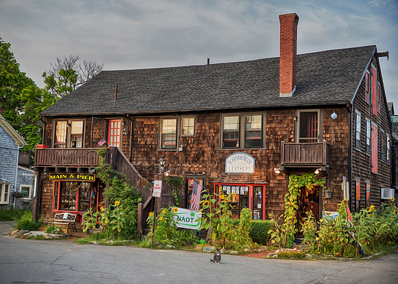 Bearneck Leather