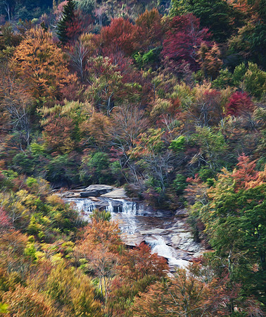Along the Parkway