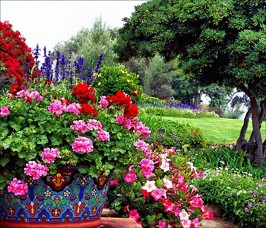 Glorious Garden