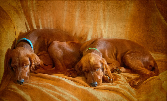 Deacon & Dublin