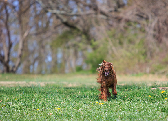 Happy Boy