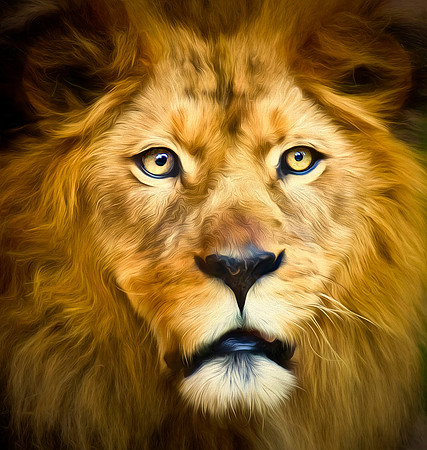 The Lion King