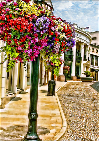 Beautiful Beverly Hills