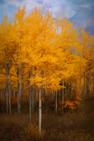 Inspiring Aspens