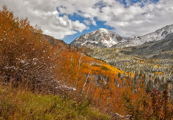 Independence Pass