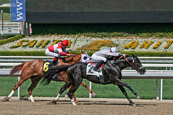 Santa Anita Silks