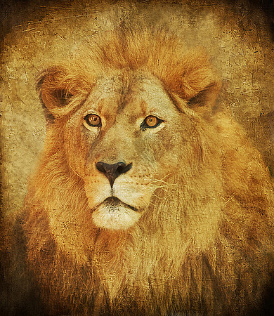 King of Kings