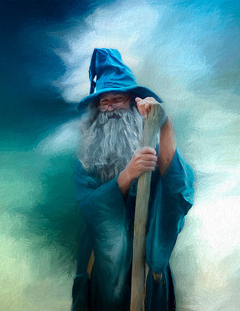 Wise Wizard