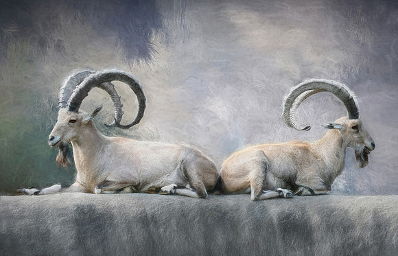 Bookends