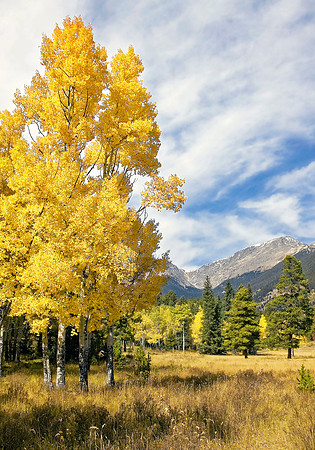 Colorado Color