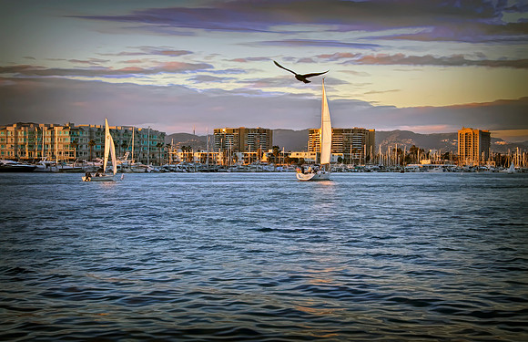 Sailing Out