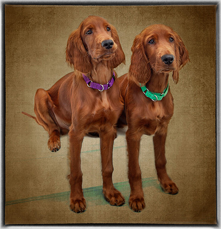 Double Trouble