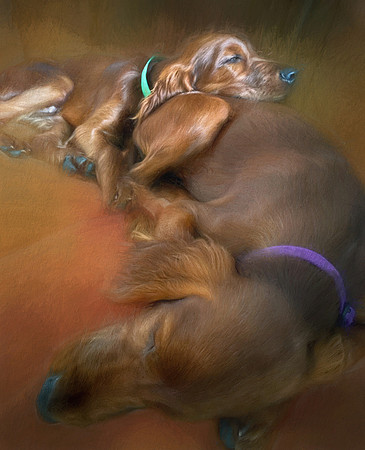 Deacon & Dublin II