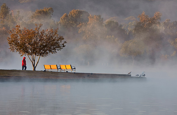 Misty Morn