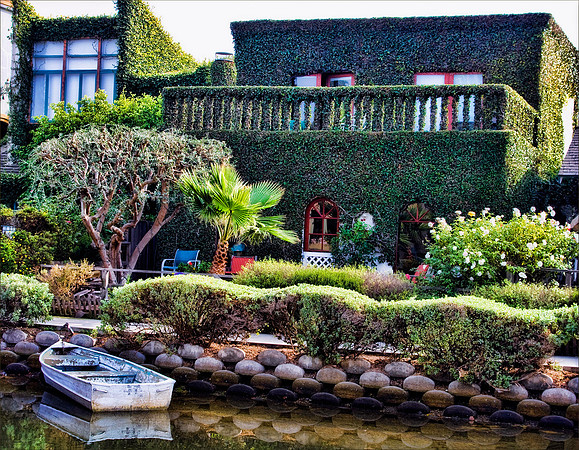 Ivy Covered