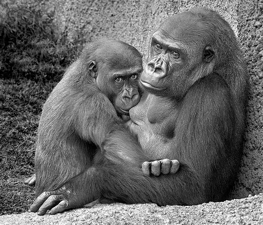 Intimacy