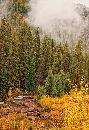 River Down Below